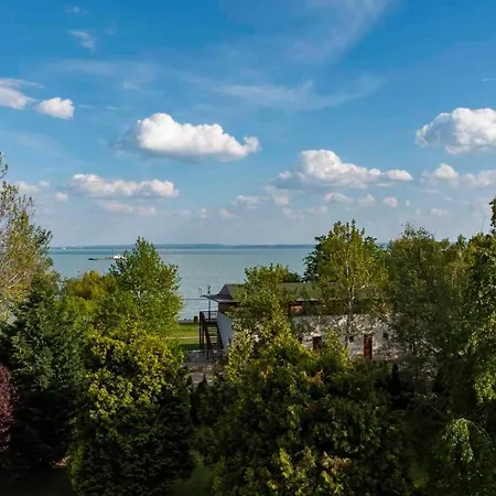 In - Balaton 37076 초팍