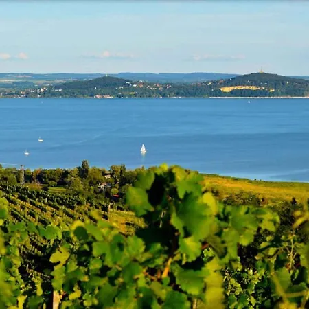 In - Balaton 37076 公寓 乔保克