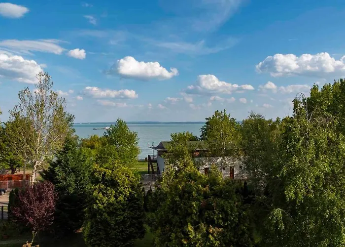 In - Balaton 37076 초팍